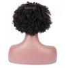 Afro Kinky Curly 360 Lace Front Wig Human Hair For Black Women