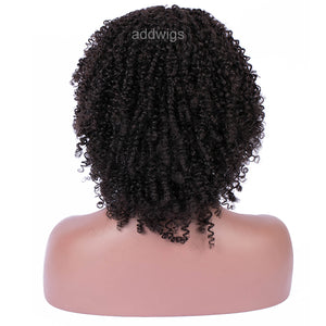 Afro Kinky Curly 100% Real Human Hair 360 Lace Front Wig For Black Women